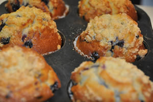 Blueberry Muffin