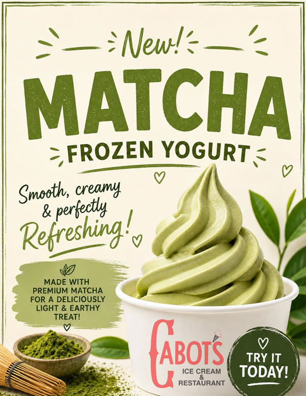 Macha Frozen Yogurt