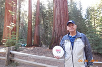 California Redwoods by Don in California