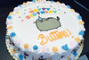 Order Ref: PI-268 Fat Cat 10 inch Photo Image Ice Cream Cake.