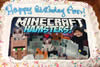 Order Ref: PI-241 Minecraft 10x18 inch Custom Photo Image Ice Cream Cake.