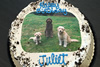 Order Ref: PI-301 Dogs 9 inch Custom Ice Cream Cake