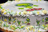 Order Ref: PI-081 Alien Photo Image Themed Ice Cream Cake.