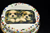 Order Ref: PI-075 Best Friends Custom Photo Image Themed Ice Cream Cake.