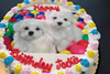 Order Ref: PI-171 Puppies Custom Photo Image Cake.