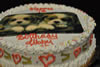 Order Ref: PI-097 Puppy Birthday Themed Ice Cream Cake.